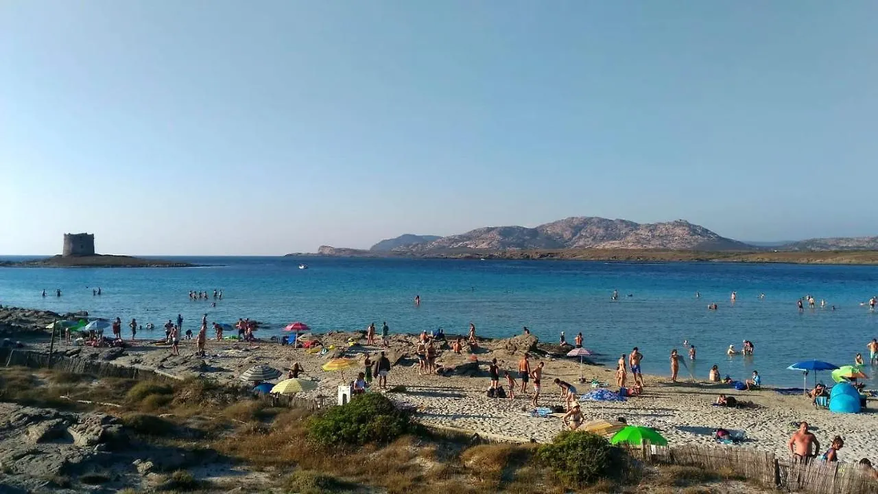 Alojamento de Acomodação e Pequeno-almoço B&B Il Gatto Pescatore Stintino Itália